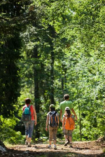 randonnée ou balade dans le jura depuis le Camping du Surchauffant