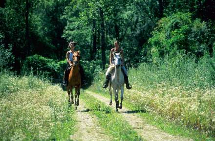 balades en cheval jura, lac de vouglans